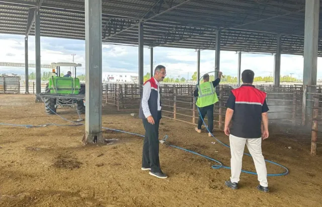 IĞDIR HAYVAN PAZARI’NDA HASTALIKLARA KARŞI DEZENFEKSİYON SEFERBERLİĞİ