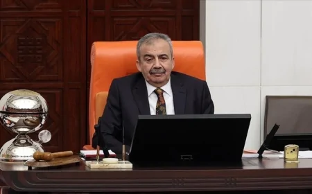 DEM Parti Milletvekili ve Meclis Başkanvekili Sırrı Süreyya Önder Kalp Krizi Geçirdi: Hastanede Tedavi Altına Alındı