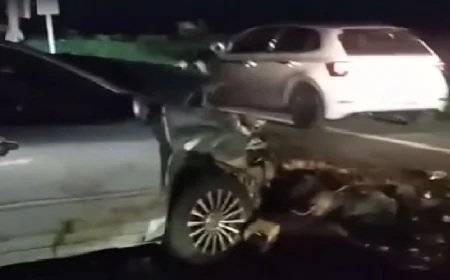 Iğdır'da Trafik Kazası: Otomobil Koyun Sürüsüne Çarptı, 25 Hayvan Telef Oldu