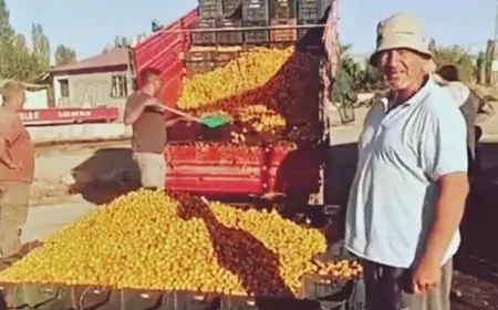 'Iğdır'da Kayısı 1 TL' Paylaşımına 1.4 Milyon TL Ceza