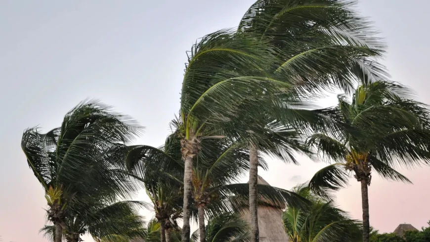 Meteoroloji'den 17 Ağustos Pazar İçin Kritik Uyarı: Sıcaklıklar Yükseliyor, Rüzgar Şiddetleniyor!