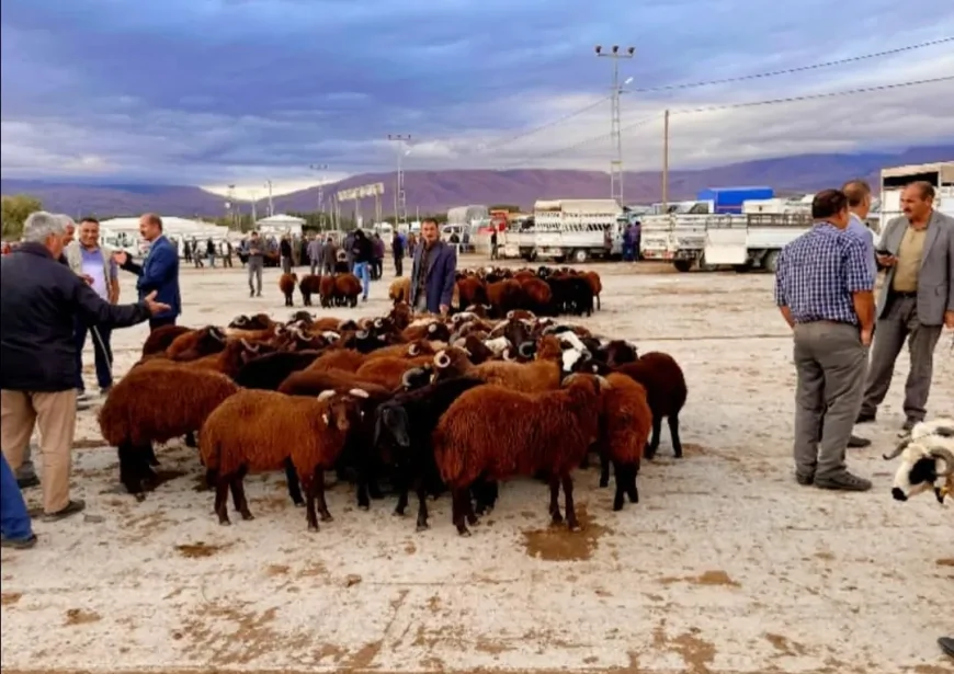 Iğdır Hayvan Pazarı’nda Yeniden Hareketlilik