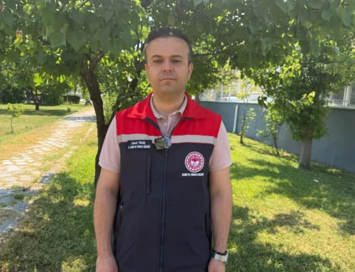 Müdür Tingiş Açıkladı: Iğdır Kayısısında %70 Rekolte Kaybı