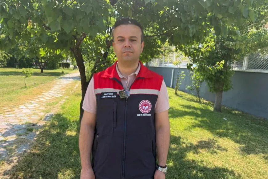 Müdür Tingiş Açıkladı: Iğdır Kayısısında %70 Rekolte Kaybı